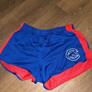 PINK Victoria's Secret Blue and Red Athletic Shorts